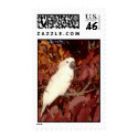 Feathered Family Parrot Rescue postage