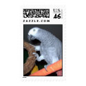 Feathered Family Parrot Rescue postage