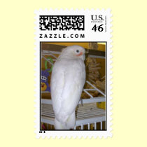 Feathered Family Parrot Rescue postage