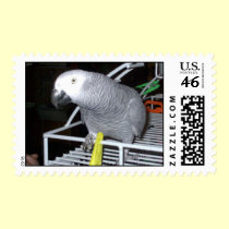 Feathered Family Parrot Rescue stamps