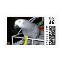 Feathered Family Parrot Rescue postage