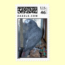 Feathered Family Parrot Rescue postage