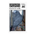 Feathered Family Parrot Rescue postage