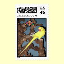 Feathered Family Parrot Rescue postage