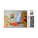 Feathered Family Parrot Rescue postage