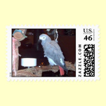 Feathered Family Parrot Rescue stamps