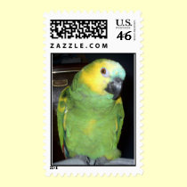 Feathered Family Parrot Rescue postage