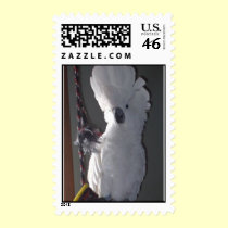 Feathered Family Parrot Rescue stamps