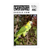 Feathered Family Parrot Rescue postage by Ffamily Feathered Family Parrot Rescue postage