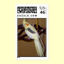 Feathered Family Parrot Rescue postage