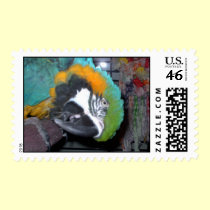 Feathered Family Parrot Rescue postage