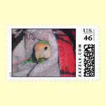Feathered Family Parrot Rescue postage