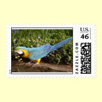 Feathered Family Parrot Rescue postage