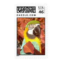 Feathered Family Parrot Rescue postage by Ffamily Feathered Family Parrot Rescue postage