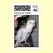 Feathered Family Parrot Rescue postage