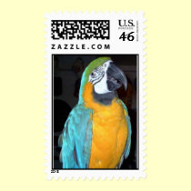 Feathered Family Parrot Rescue postage