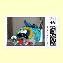 Feathered Family Parrot Rescue postage