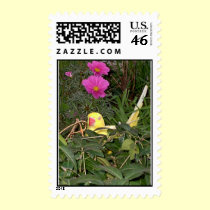 Feathered Family Parrot Rescue postage