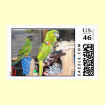 Feathered Family Parrot Rescue stamps