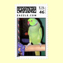 Feathered Family Parrot Rescue postage