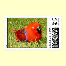 Feathered Family Parrot Rescue postage