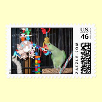 Feathered Family Parrot Rescue postage