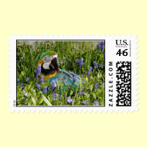 Feathered Family Parrot Rescue postage