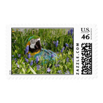Feathered Family Parrot Rescue postage by Ffamily Feathered Family Parrot Rescue postage