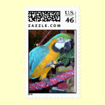 Feathered Family Parrot Rescue stamps