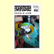 Feathered Family Parrot Rescue postage