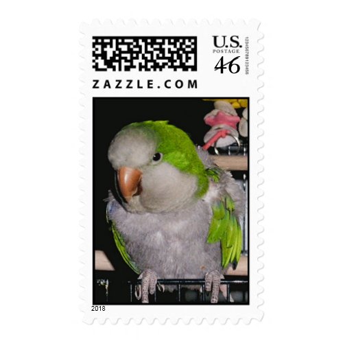 Feathered Family Parrot Rescue stamp