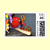 Feathered Family Parrot Rescue stamps