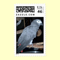 Feathered Family Parrot Rescue stamps