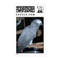 Feathered Family Parrot Rescue postage