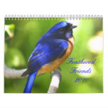 Feathered Friends 2010 Wall Calendars