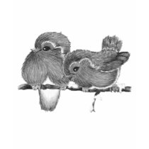 Feathered Friends t-shirts by GeorgiegirlofRB Feathered Friends t-shirts