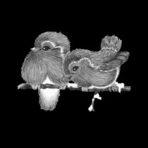 Feathered Friends t-shirts