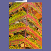 Feathered Leaf cards