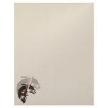 Feathered Paint Horse letterhead2_vertical.