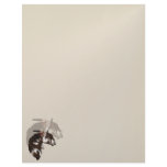 Feathered Paint Horse letterhead2_vertical.