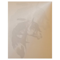 Feathered Paint Horse letterhead_vertical.