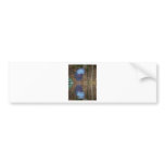 Feathered Reflections bumper stickers
