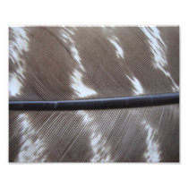 featherly close photographic print