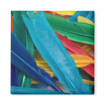 Featherly Magnet magnets