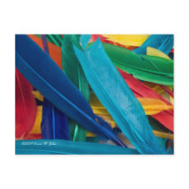 Featherly Postcard postcards