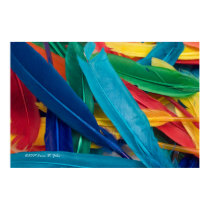 Featherly Poster posters