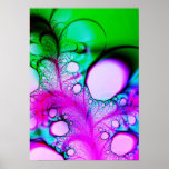 Feathers and Bubbles posters
