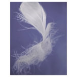 Feathers are symbols of spirituality full color flyer