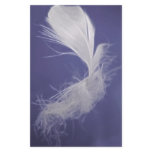 Feathers are symbols of spirituality customized stationery