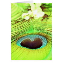 FEATHERS cards